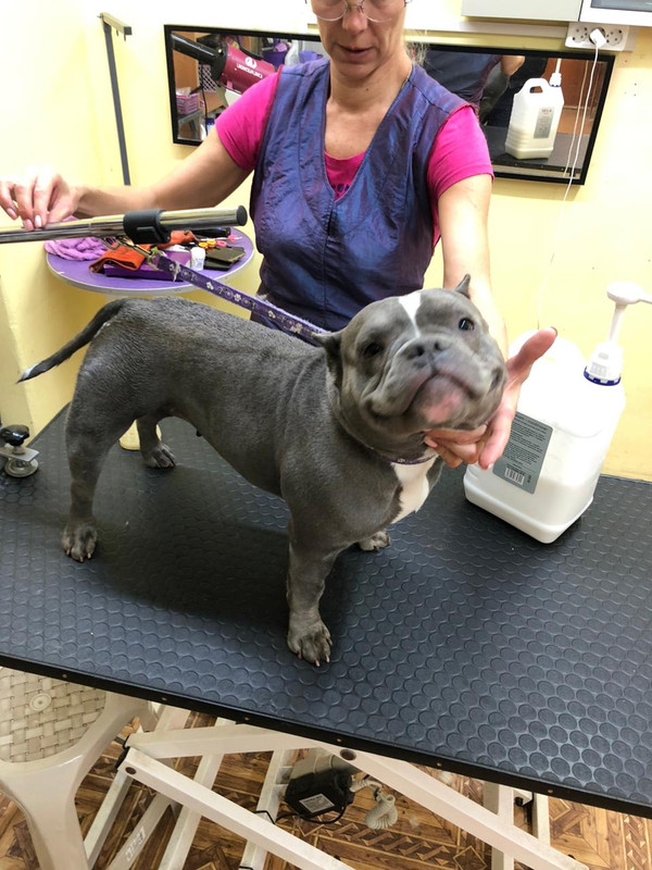 2D0021DF-501D-4F21-96E7-5B536C1628D1