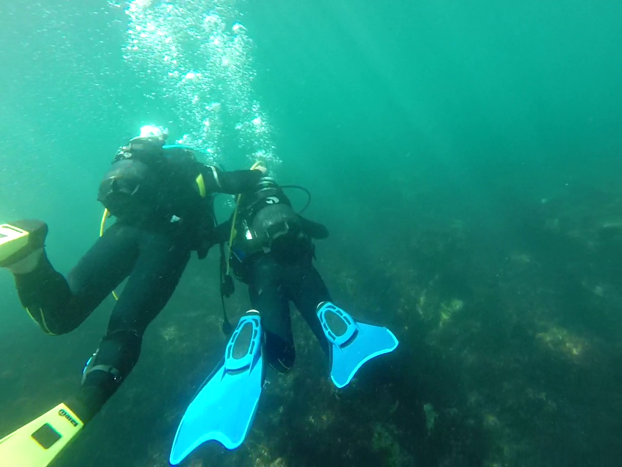 Snorkeling et randonnée palmée au Pays Basque