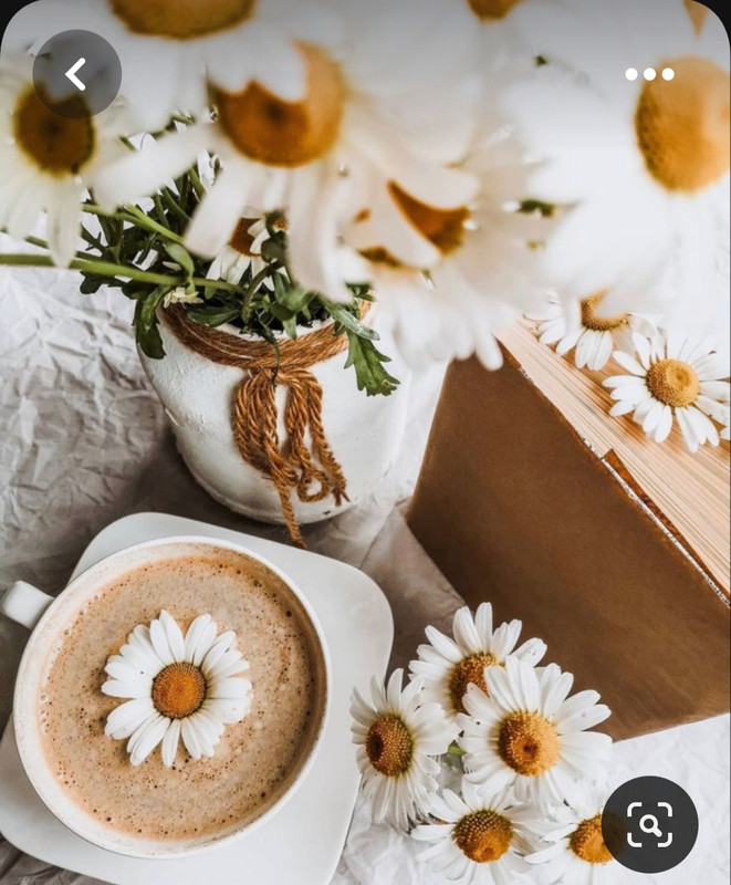 Screenshot_20230603_223355_Pinterest