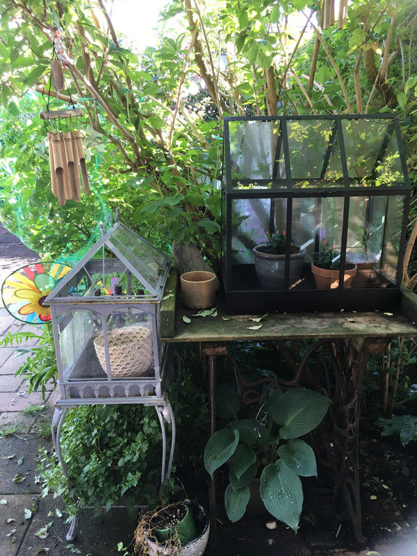 08AC0CDA-E5D3-48FF-9353-B20B524FDCC3