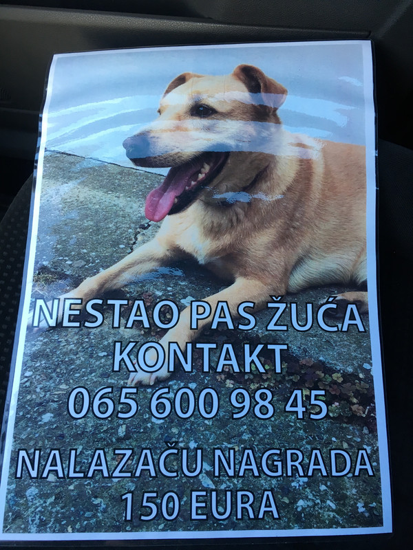 A9EA3AE5-CA18-4209-A1F0-F9D783FCAEFD