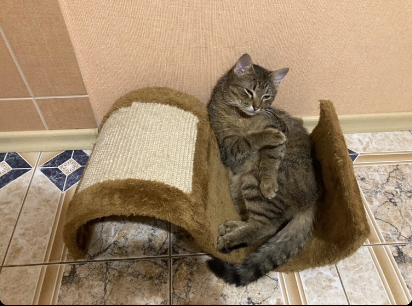 94FD5B27-E3D9-4E7F-B84E-693A2BC70C3E