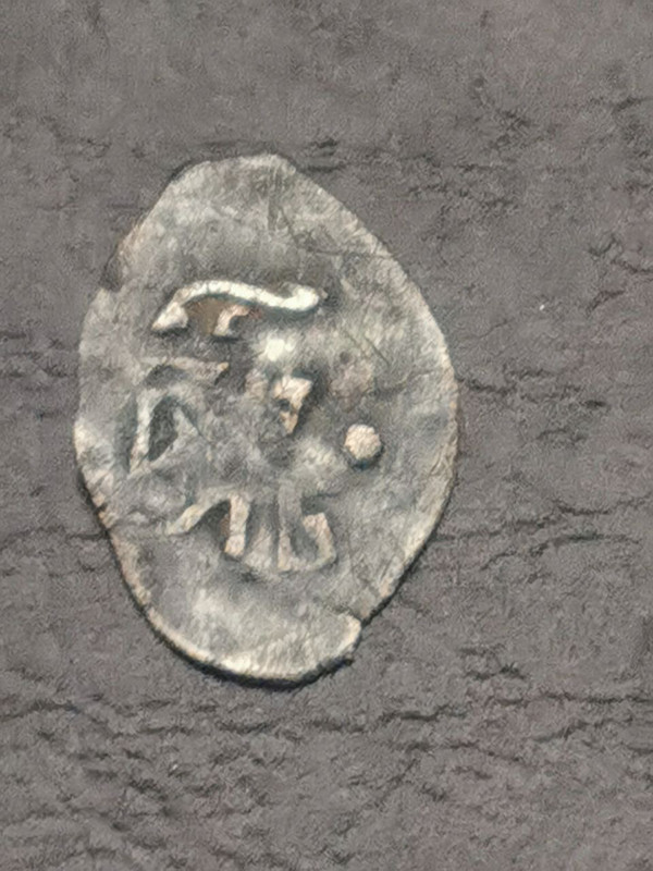 photo_2025-03-13_19-39-23