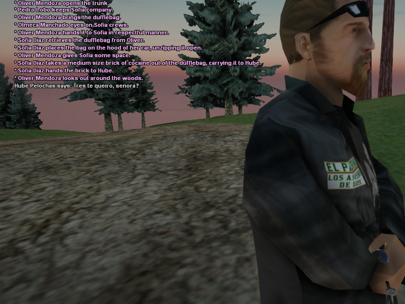 SSRoleplay713.png