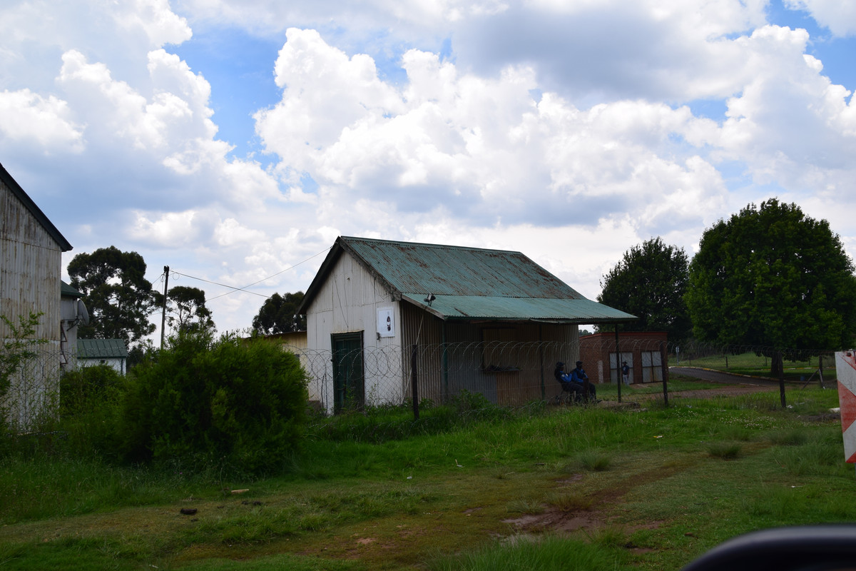 DSC_0351
