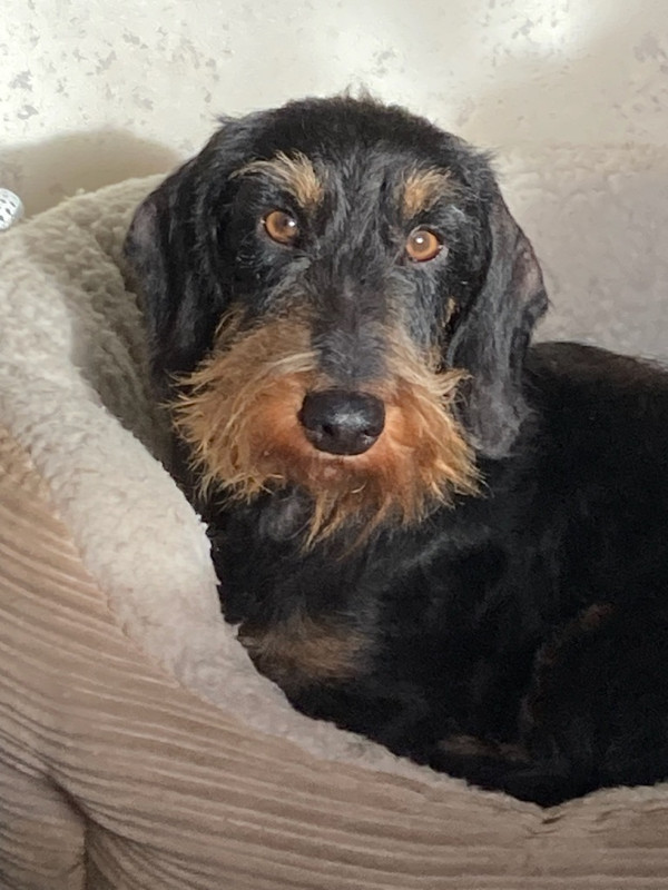 [Image: IMG-20240101-174241.jpg]