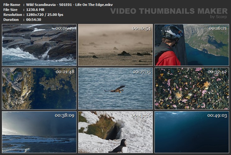 Wild Scandinavia - S01E01 - Life On The Edge.mkv