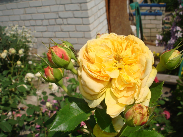 DSC01569