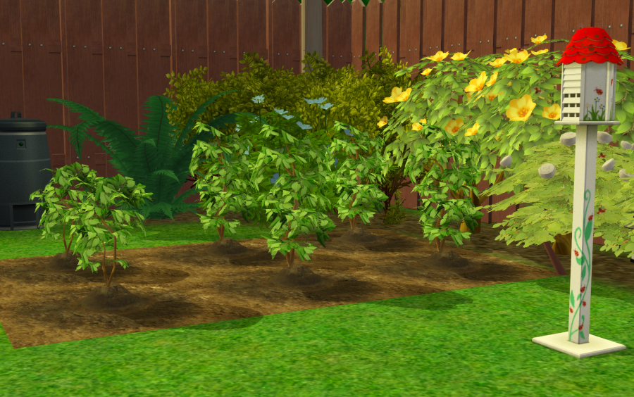 Sims2-EP9-RPC-2021-06-05-08-24-12-45