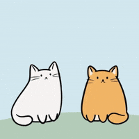 cats-weekend.gif