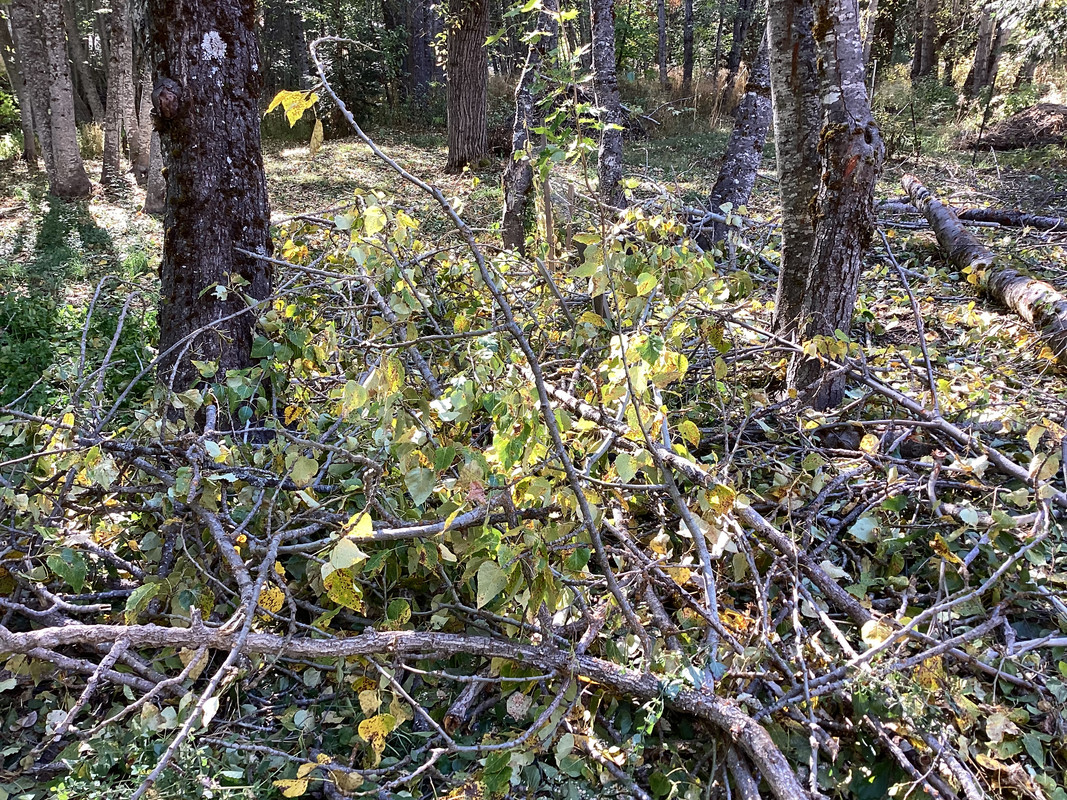 C6430C9E-1273-4EF9-B5DD-BD8771D21819