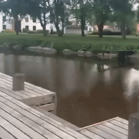 https://i.postimg.cc/zG3Xgpd3/ezgif-4-0df1b11e3656.gif