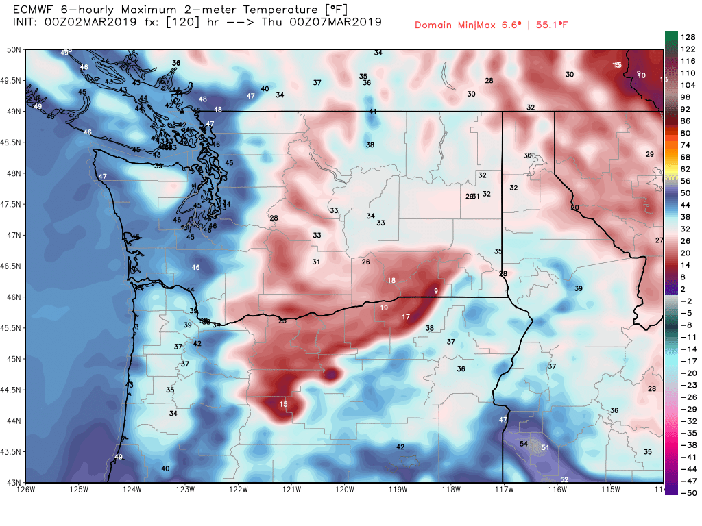 ecmwf-t2max-washington-21-2.png