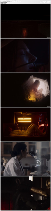 Tin.Can.2020.1080p.BluRay.x264.AAC-[Mkvking.com].mkv_thumbs