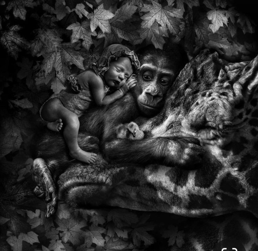 Screenshot_20240409_000112_Pinterest