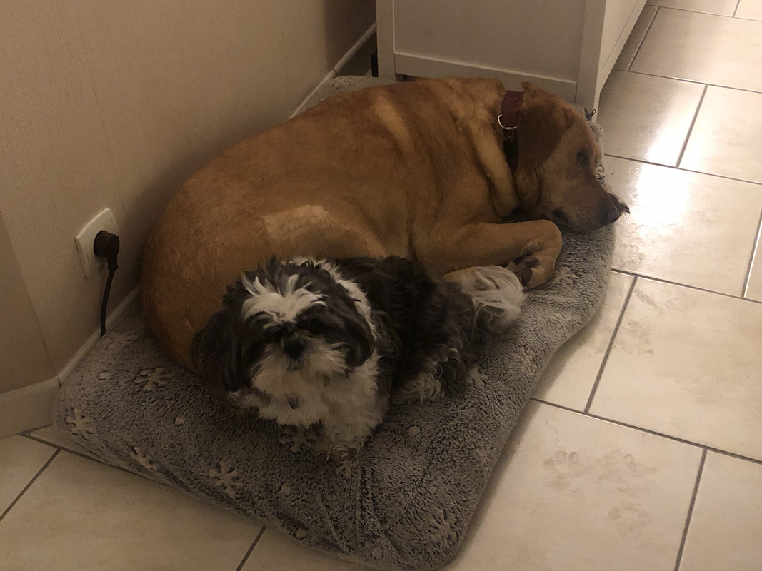 [Image: IMG-7933.jpg]