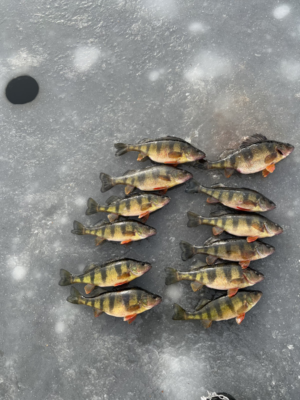 95B4E060-D287-4F7B-90A3-89BD65C30A27