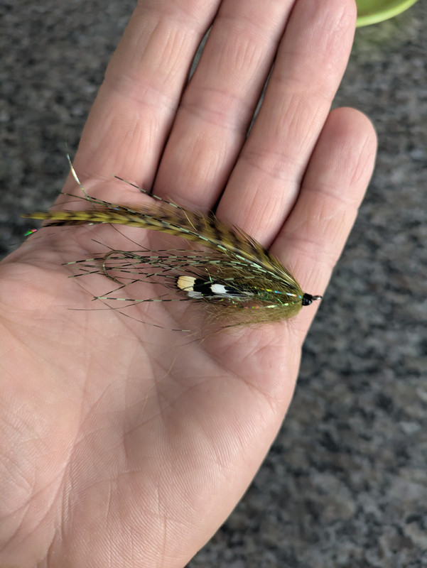 PXL-20250713-014439679-RAW-01-MP-COVER.j