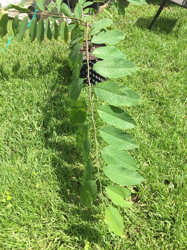 2C2F9C3D-669E-4982-BF21-1520C7ED774B