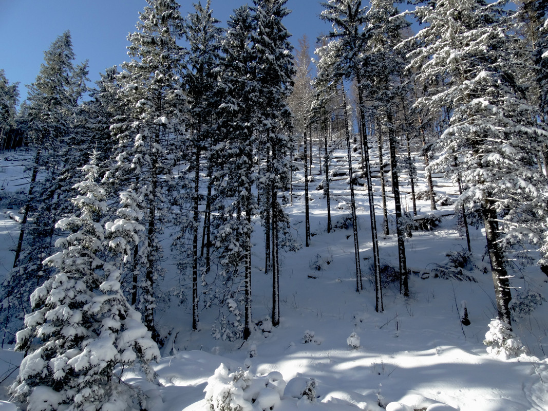 05.15 - DSC06263 (Czesio1)