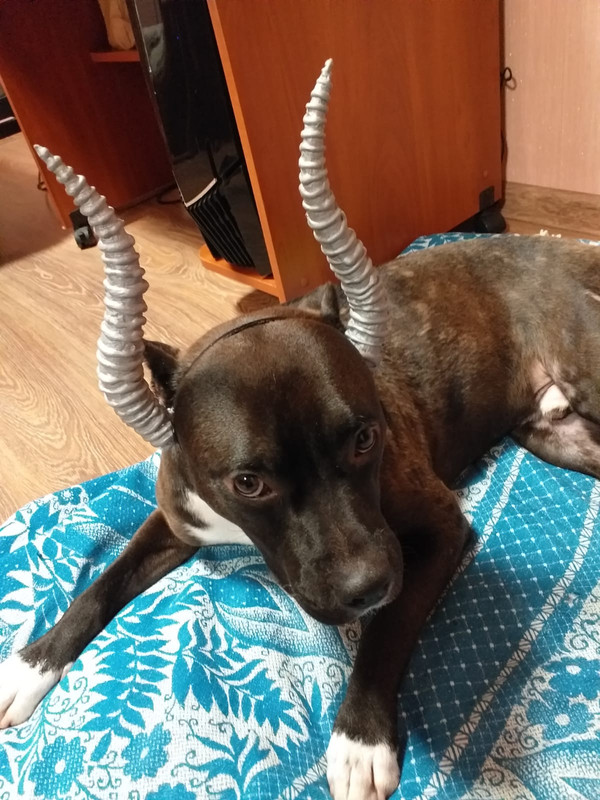 7952D2CE-7483-447E-B3ED-27D737B0B2AF