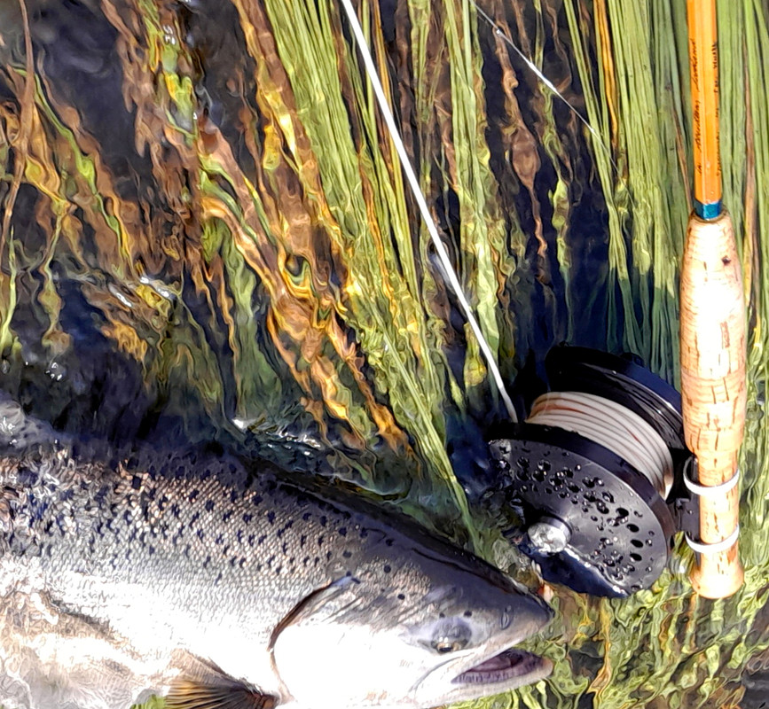 306522339_5472534292827447_3406761491557999024_n