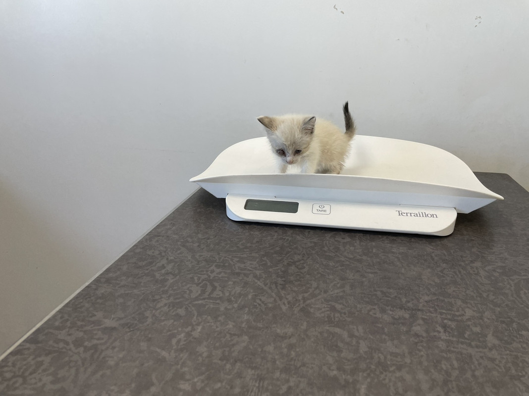 018BA02D-034A-4781-8523-960FEFA93429