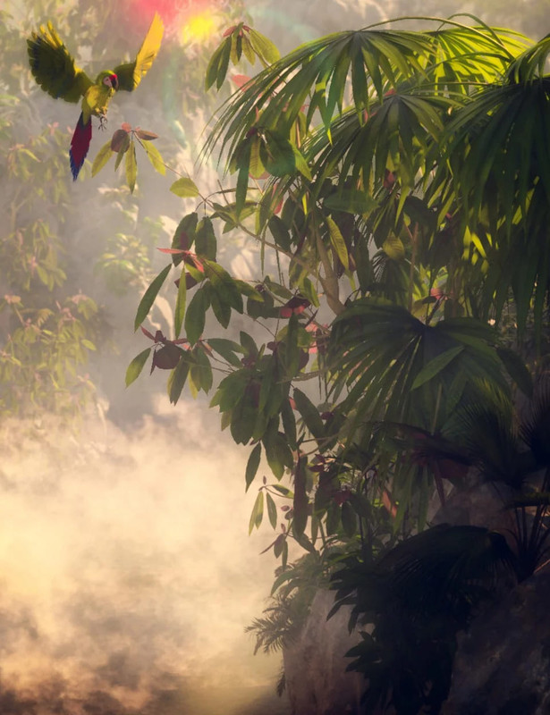 Tropical and Sub Tropical Foliage – Trees and Shrubs