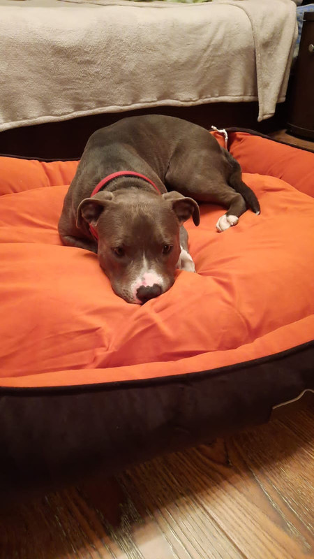 AB148AD3-B11C-4268-9F9D-FD5F481B4B4E