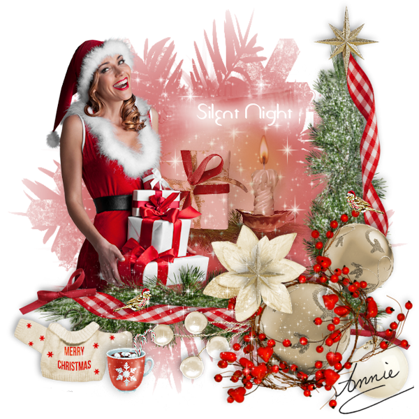 An den Beitrag angehängtes Bild: https://i.postimg.cc/zG66jTkm/Silent-night.png