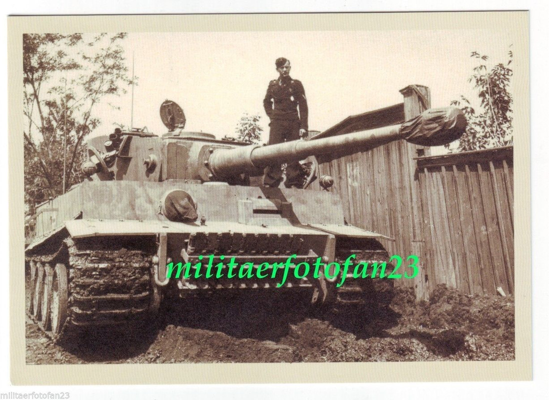 Deutscher Panzer VI (Sd.Kfz.181) Tiger in getarn