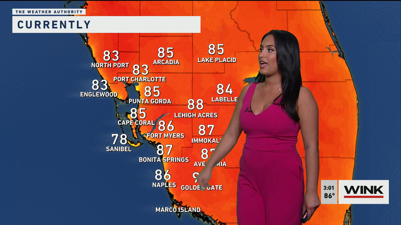 03.24 - 19.00.00 - WINK News at 3pm  ᴺᵉʷ..ts_snapshot_00.02.11.945