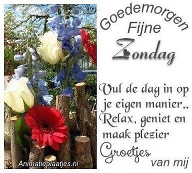 gezegende-zondag-023
