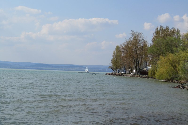 Slika