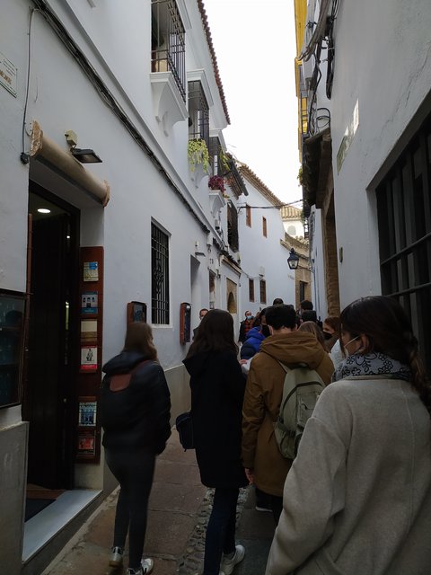 Navidad en Córdoba - Blogs de España - Día 2 Alcázar reyes cristianos, Sinagoga y Mezquita-catedral (12)