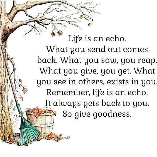 [Image: 203891874-1165088407343983-4030624994793181351-n.jpg]