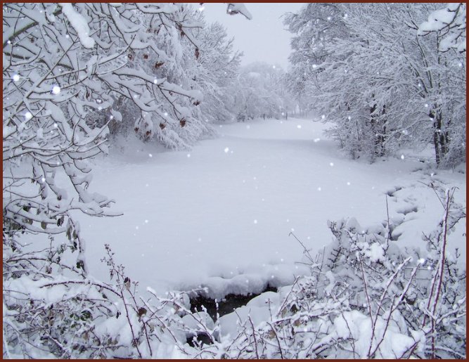 hiver1.jpg