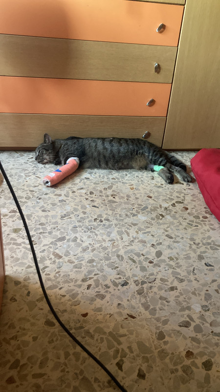 0B7B8B7B-5DFE-484D-AE9E-961C55B7E803