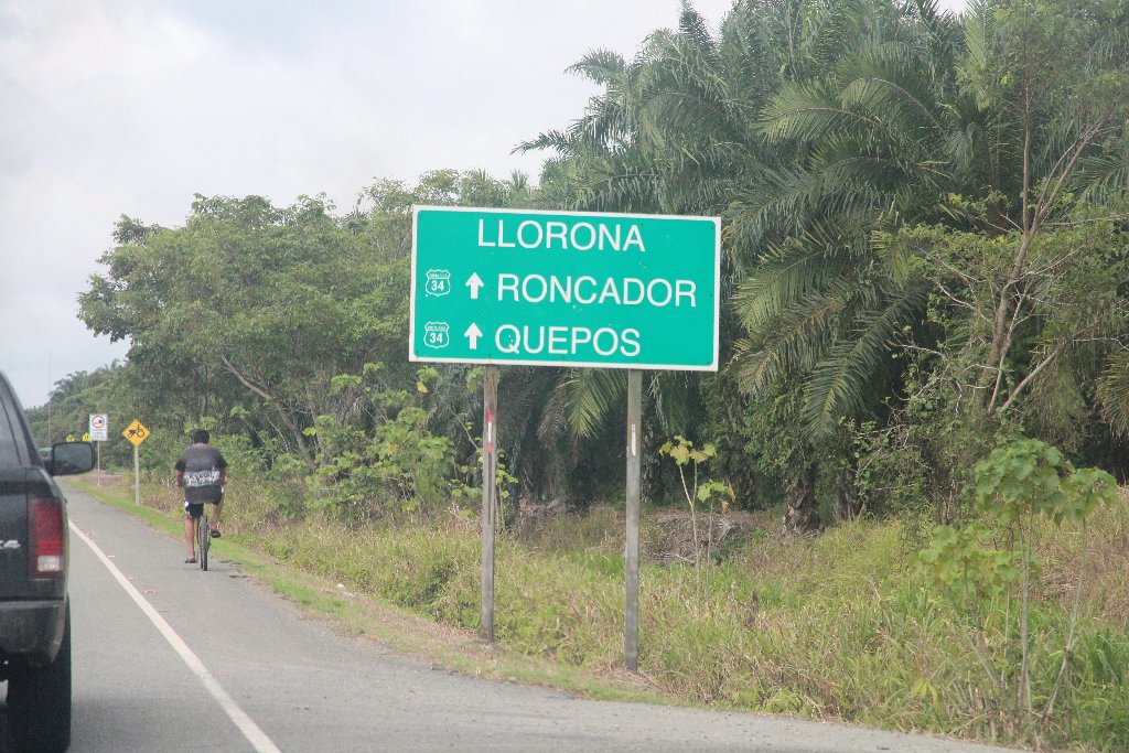 DE TORTUGAS Y PEREZOSOS. COSTA RICA 2019 - Blogs de Costa Rica - DIA 12: TRASLADO A DOMINICAL Y COCODRILOS EN TÁRCOLES (20)