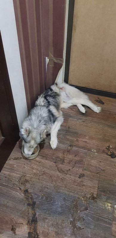 C445B88E-FD94-4DFC-8B27-E6BD9AFE9A6D