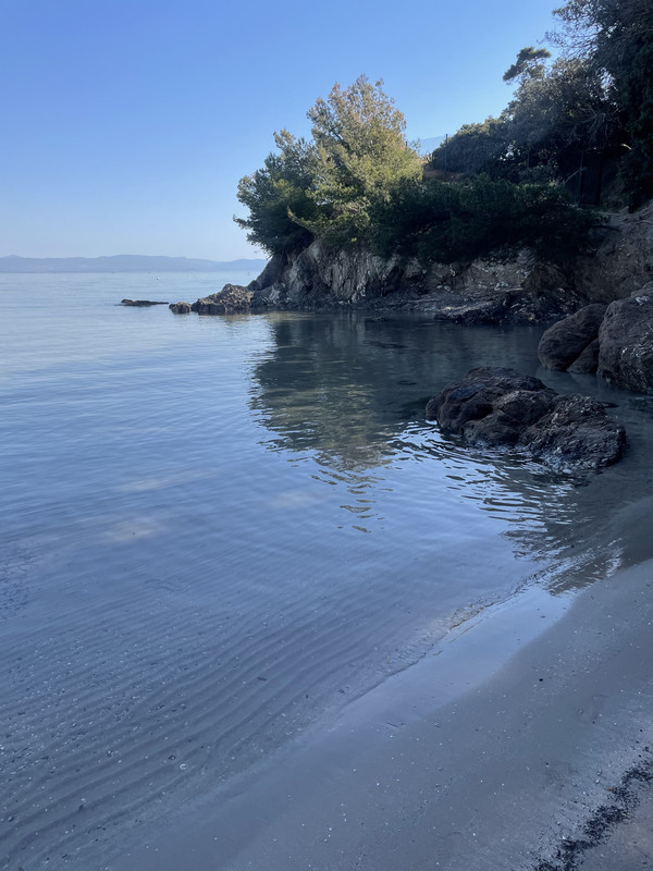 079D25C5-4F29-4168-BB56-3471F901BC6A