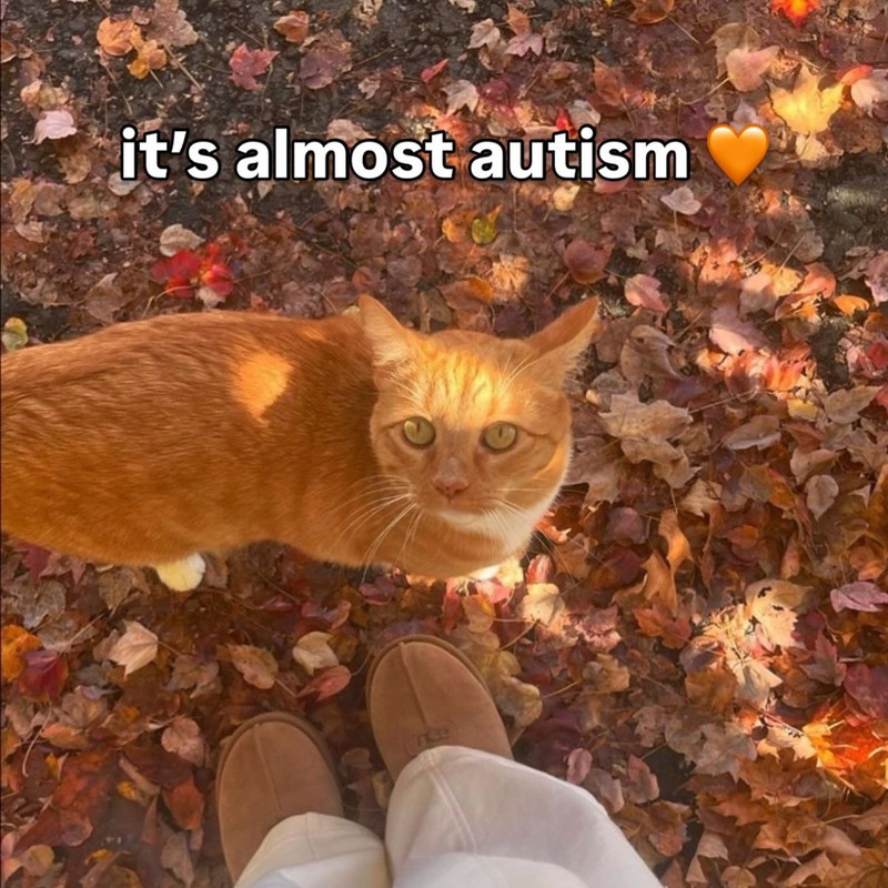 its almost autism