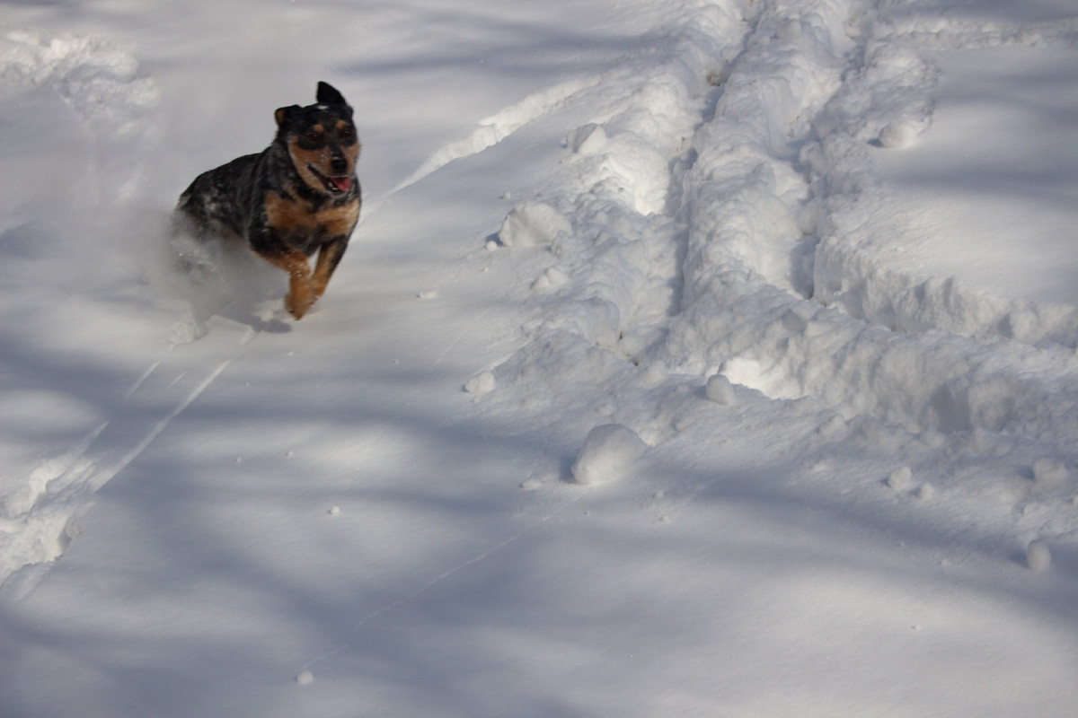 [Image: 3484-CD73-9-DE1-4-F25-B780-96-E087817-AEF.jpg]