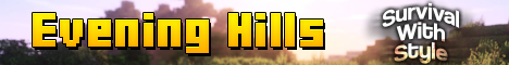 server banner