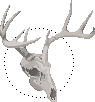 dbl9mdr-eb53d4af-a877-4455-9f31-d59396ce05c.png