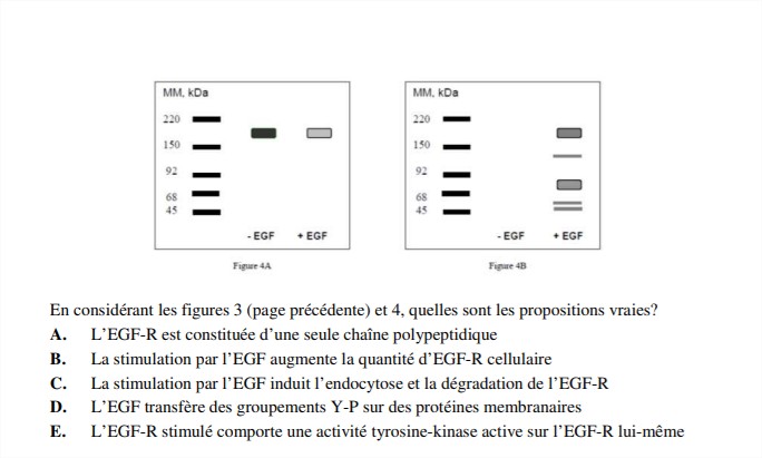poly UE8 complet 2019-20 - Google Chrome_5