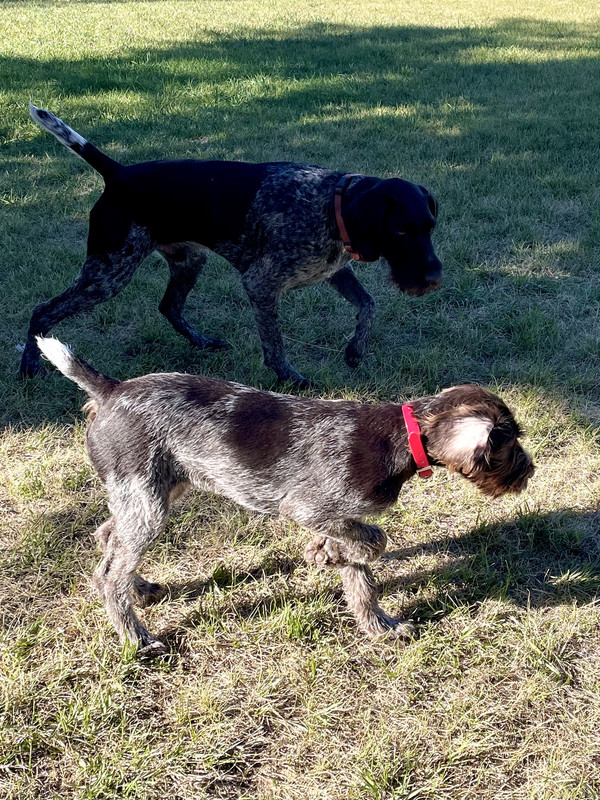 7154DCDD-F66F-4D35-A2D7-5763638D97C3