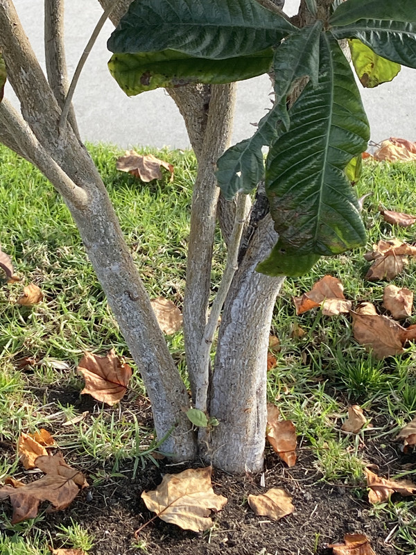 11FE776F-25E2-4D3B-BDC0-AAFED8FB9AEB