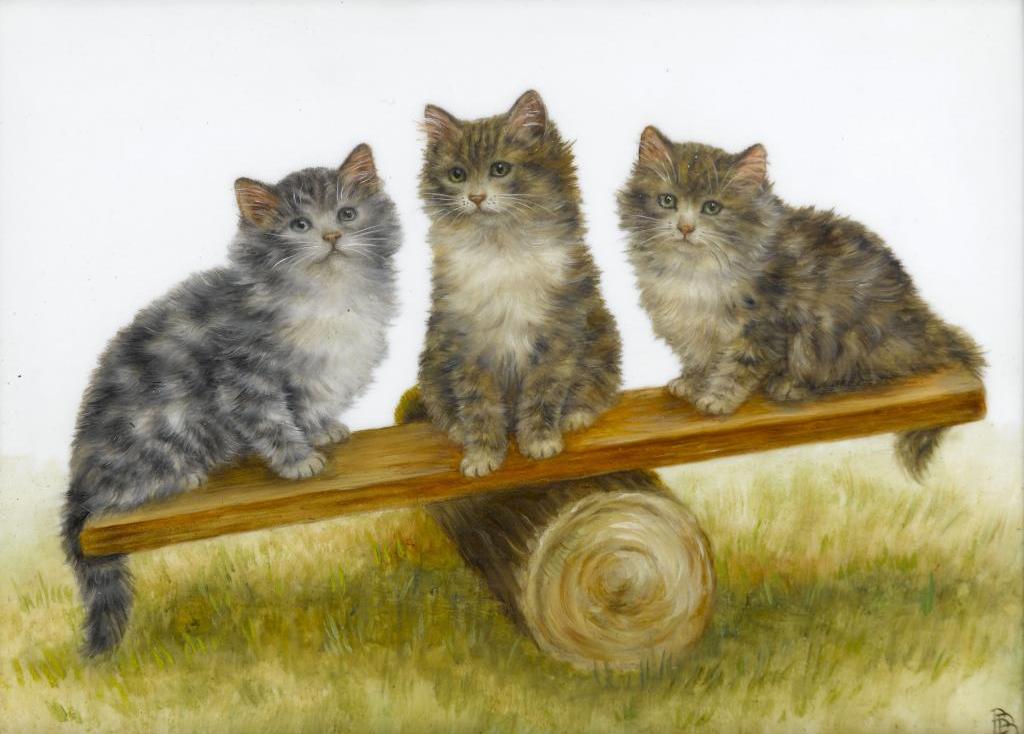 THREE-KITTENS-IN-A-HAMMOCK-THREE-KITTENS-ON-A-SEE-SAW