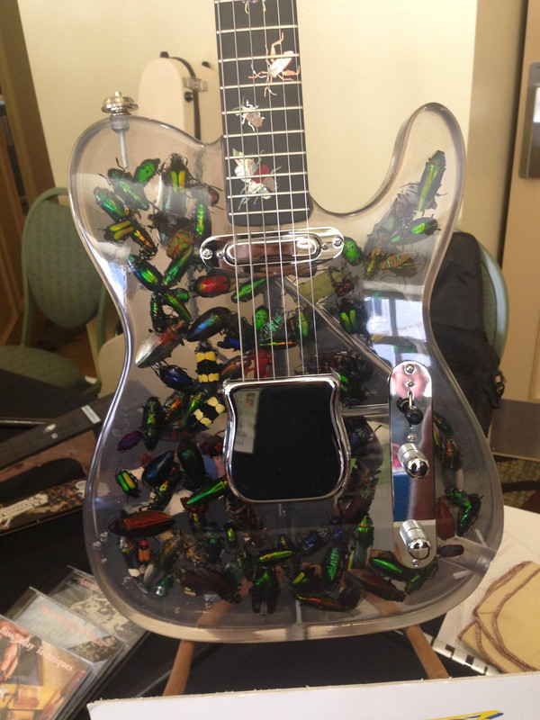 26240365_10156327533499925_68580190752234723_o